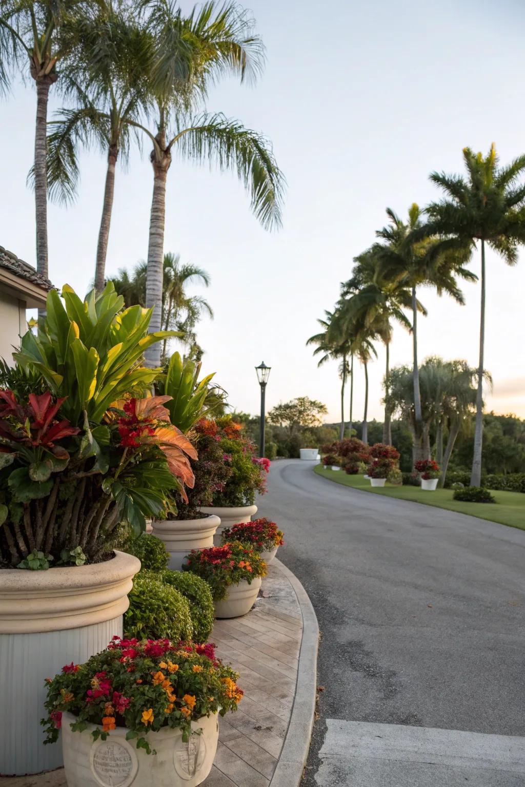Create a tropical oasis with your driveway planters.