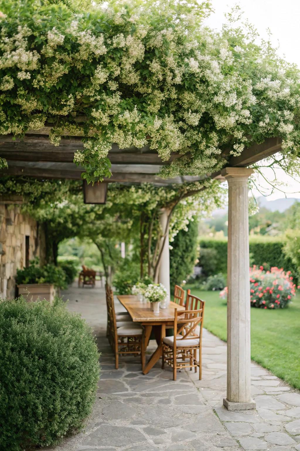 Lush climbing plants bring vibrancy and fragrance.