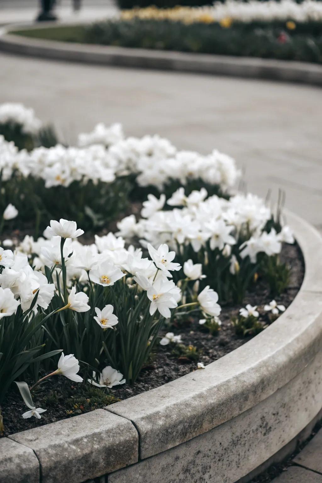 A serene and polished garden created with a monochromatic palette.