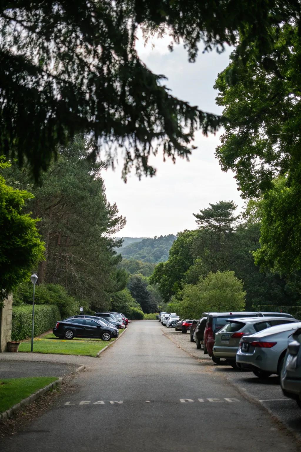 A wide driveway that accommodates family and friends.