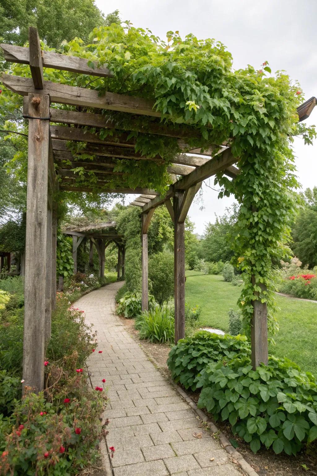 A pergola adds height and charm to small gardens.