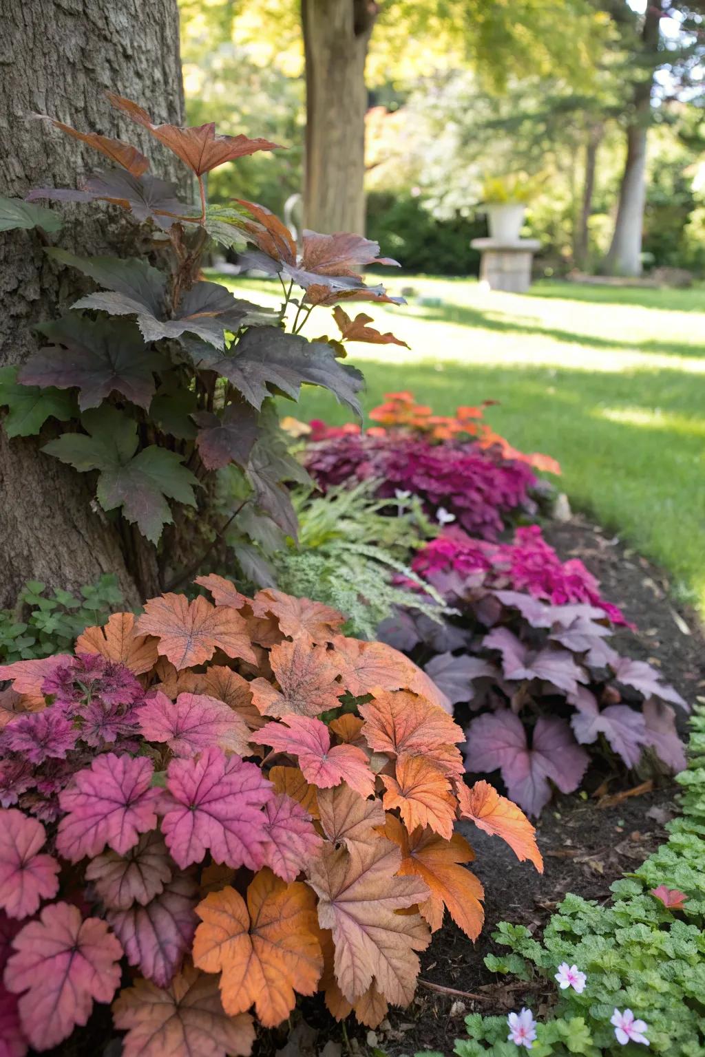 Heucheras bring bold color contrasts to shady spots.