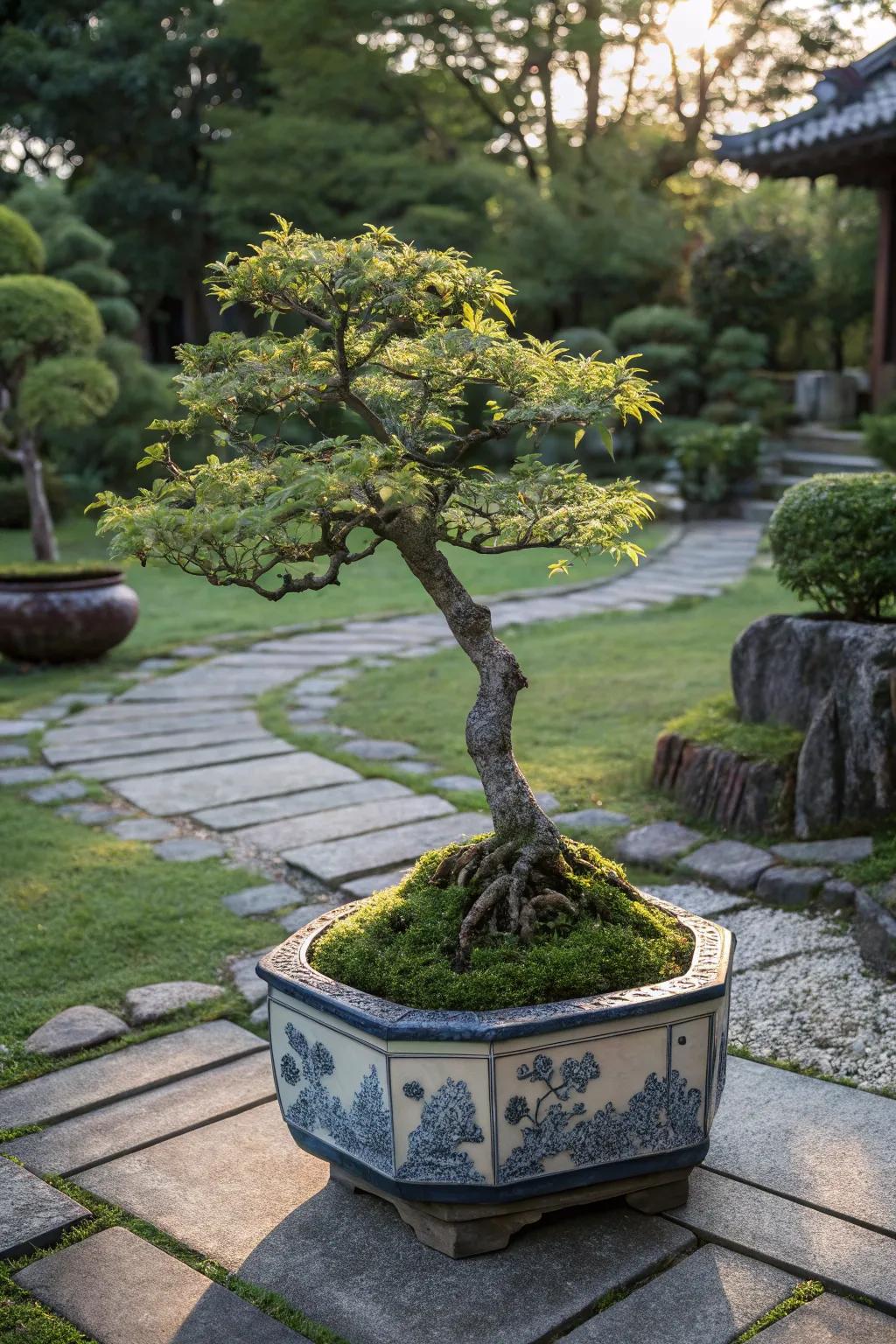 Elegant bonsai tree as a sculptural centerpiece.