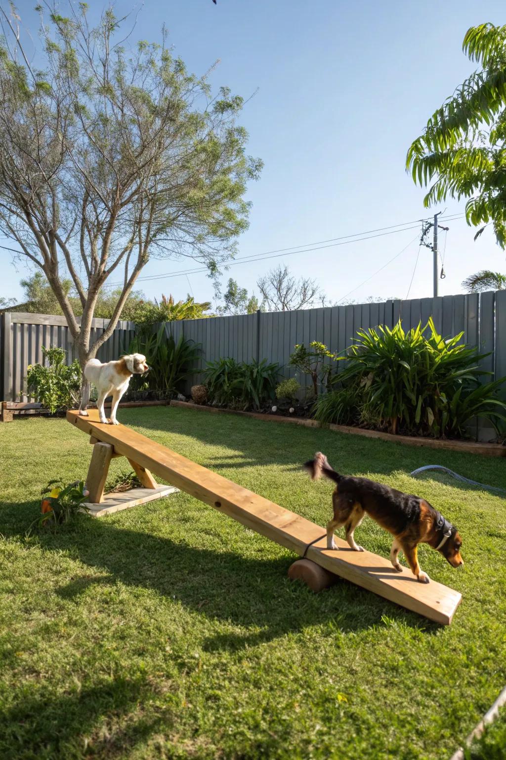 Balance beams add a fun challenge.