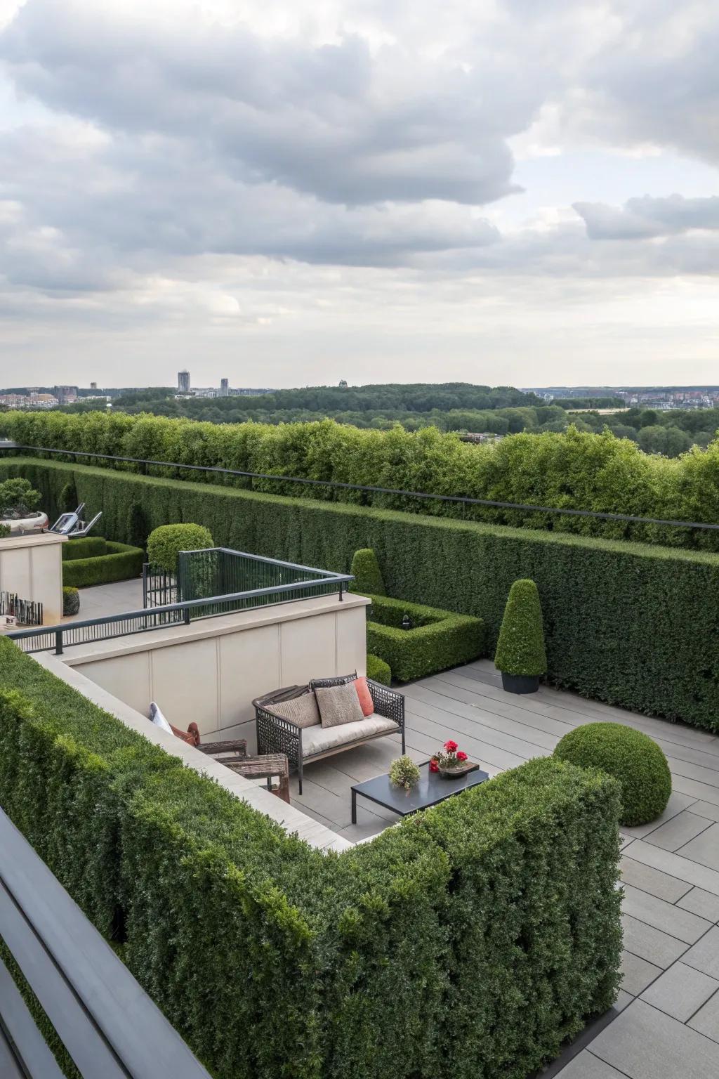 A rooftop terrace transformed into a private retreat with hedge walls.