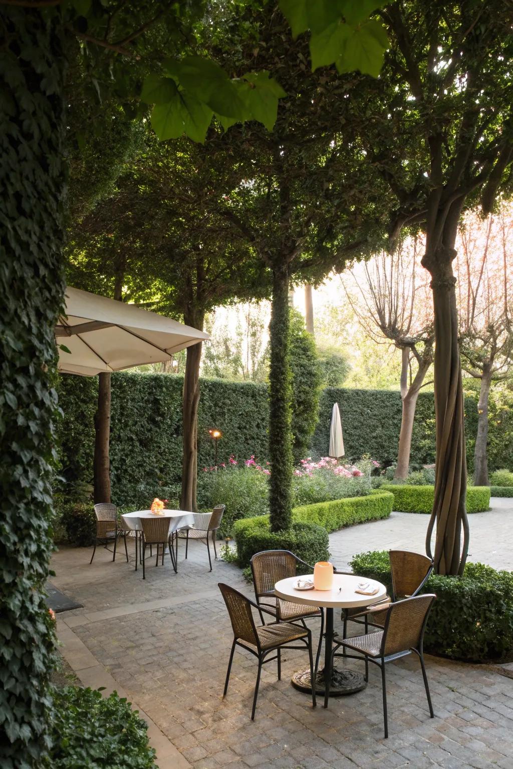 A comfortable seating area surrounded by lush hedge walls.