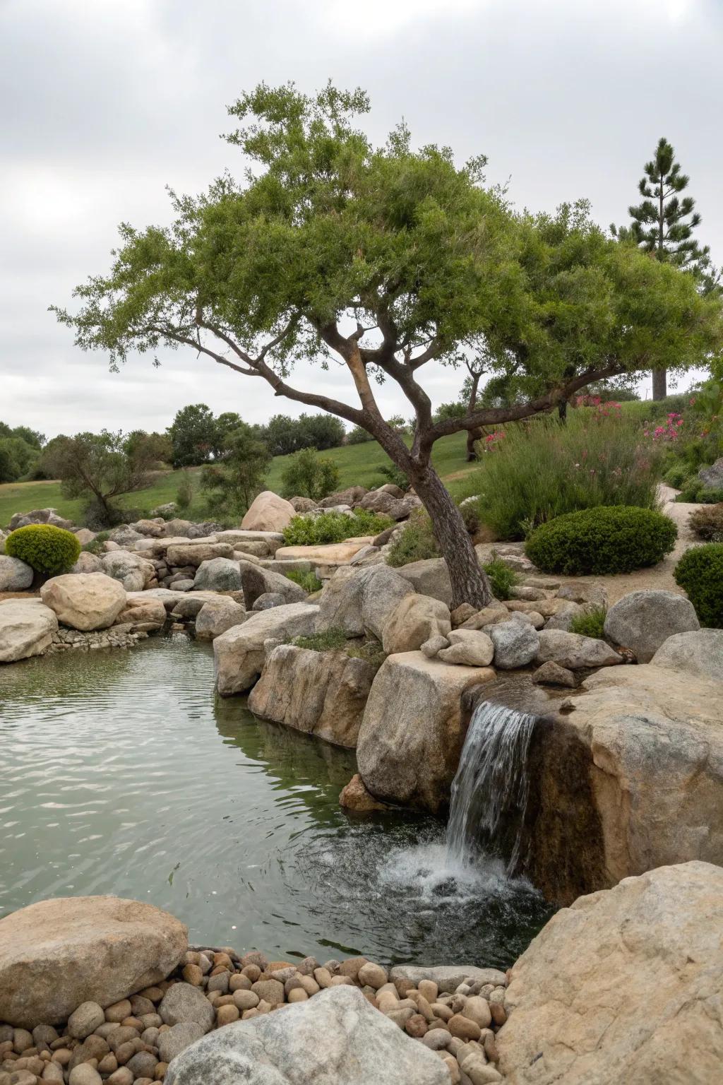 A rock water feature adds tranquility and attracts wildlife.