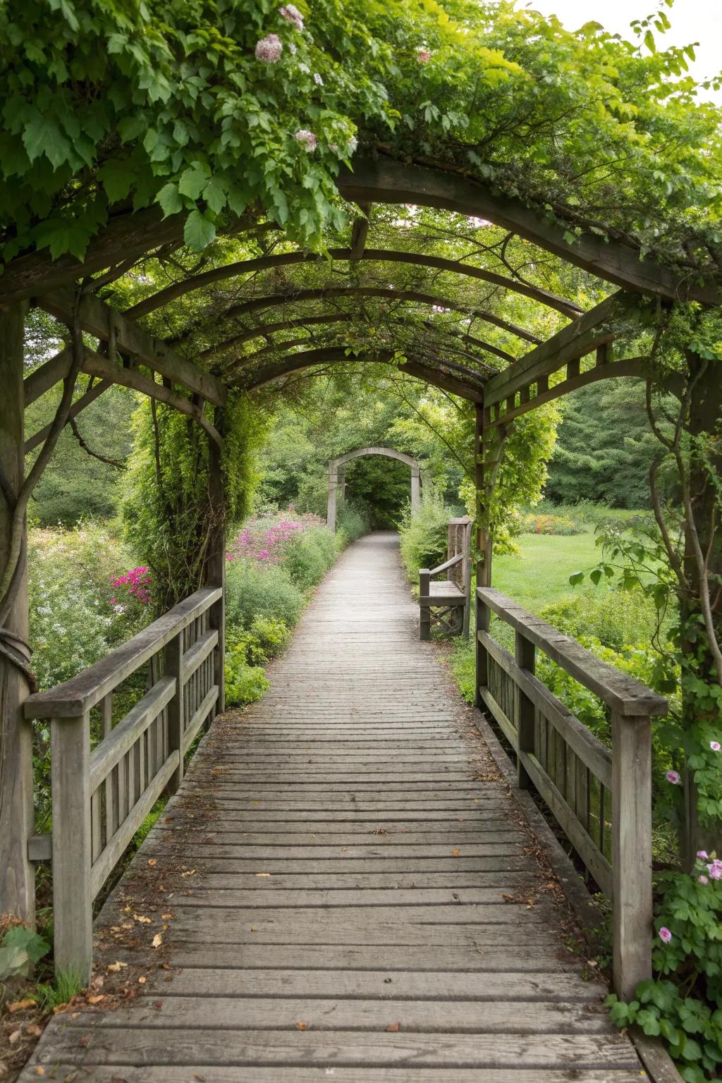 A pergola-covered bridge provides shade and beauty.