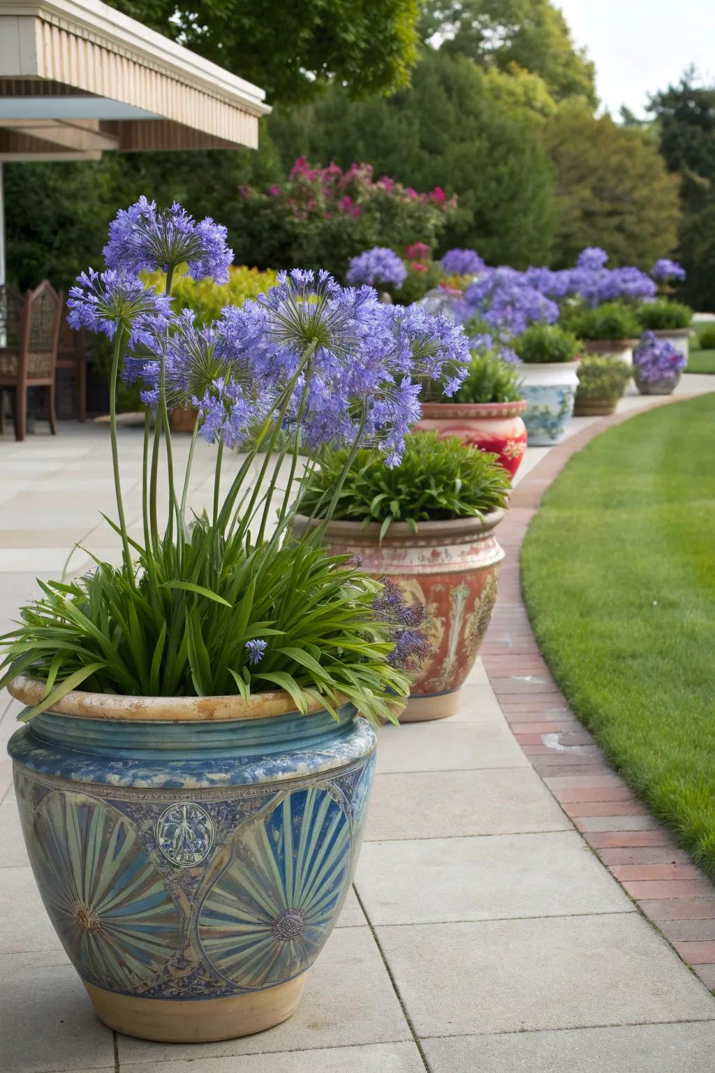 Add height and structure with elegant pot displays.