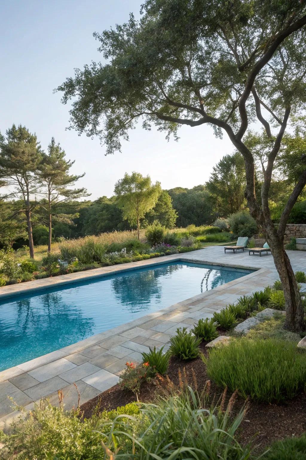 A harmonious blend of nature and luxury with a gunite pool enveloped in greenery.