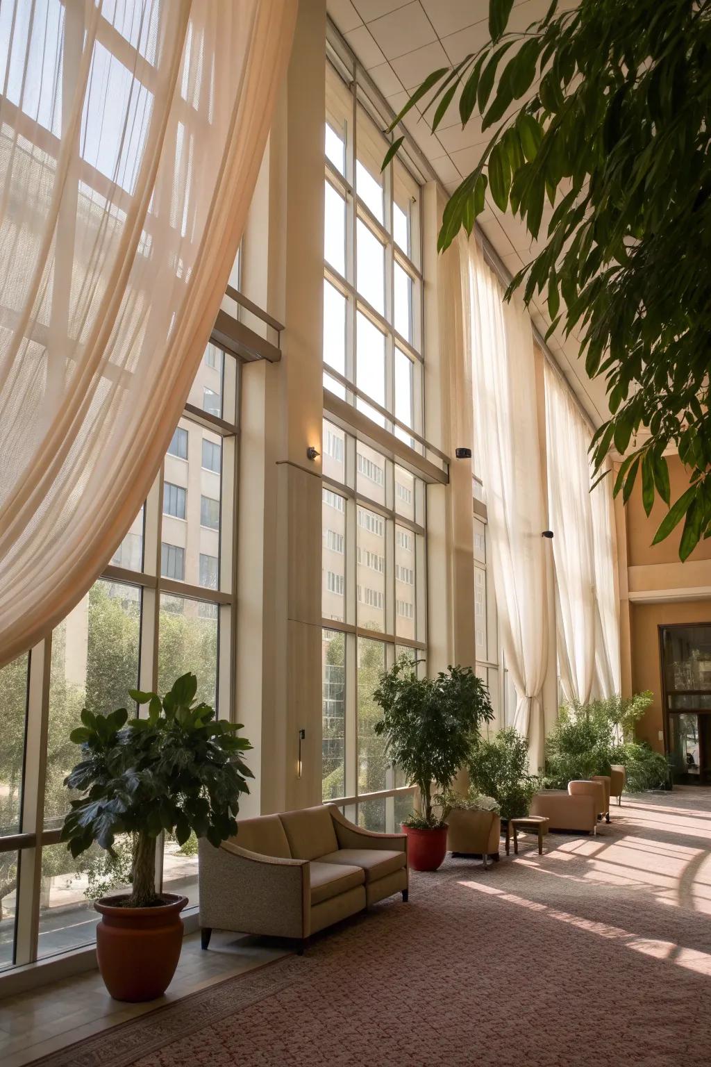 Natural light enhances the ambiance and mood of your atrium.