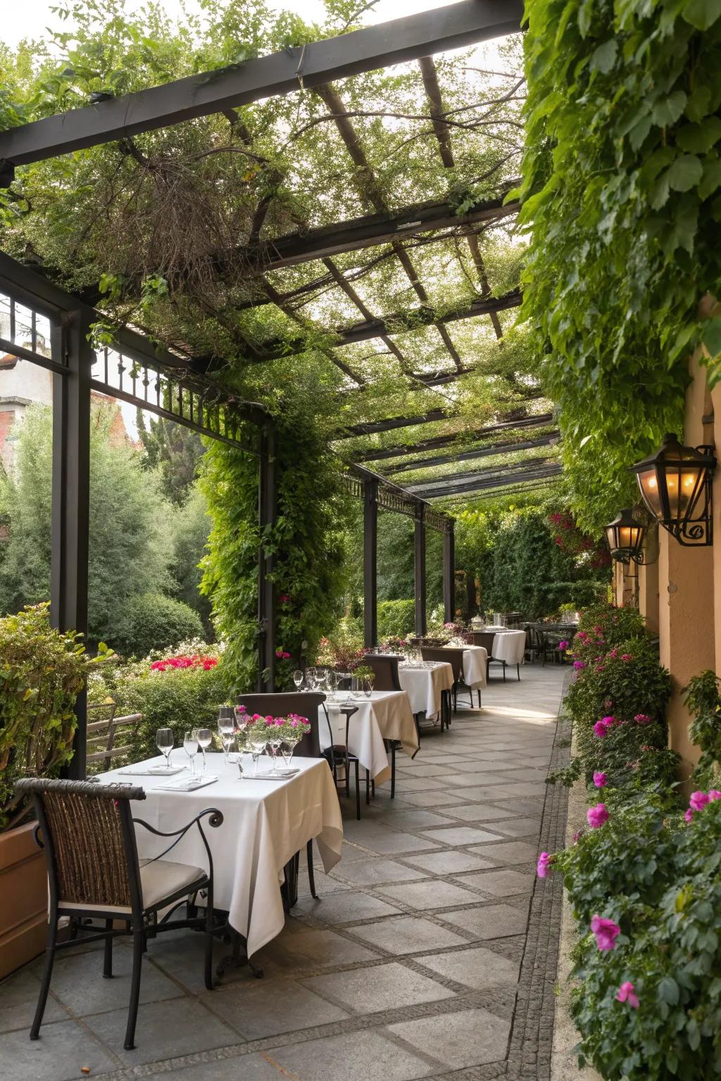 An open-air pergola design perfect for summer evenings.