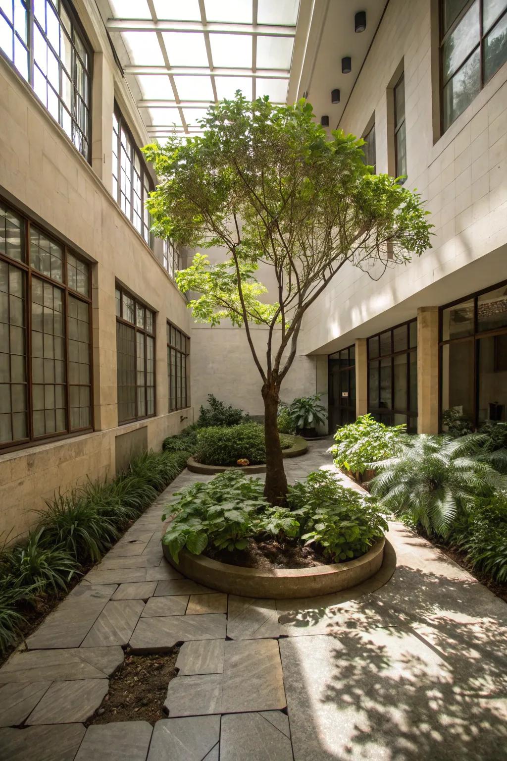 A tree adds drama and height to your atrium.