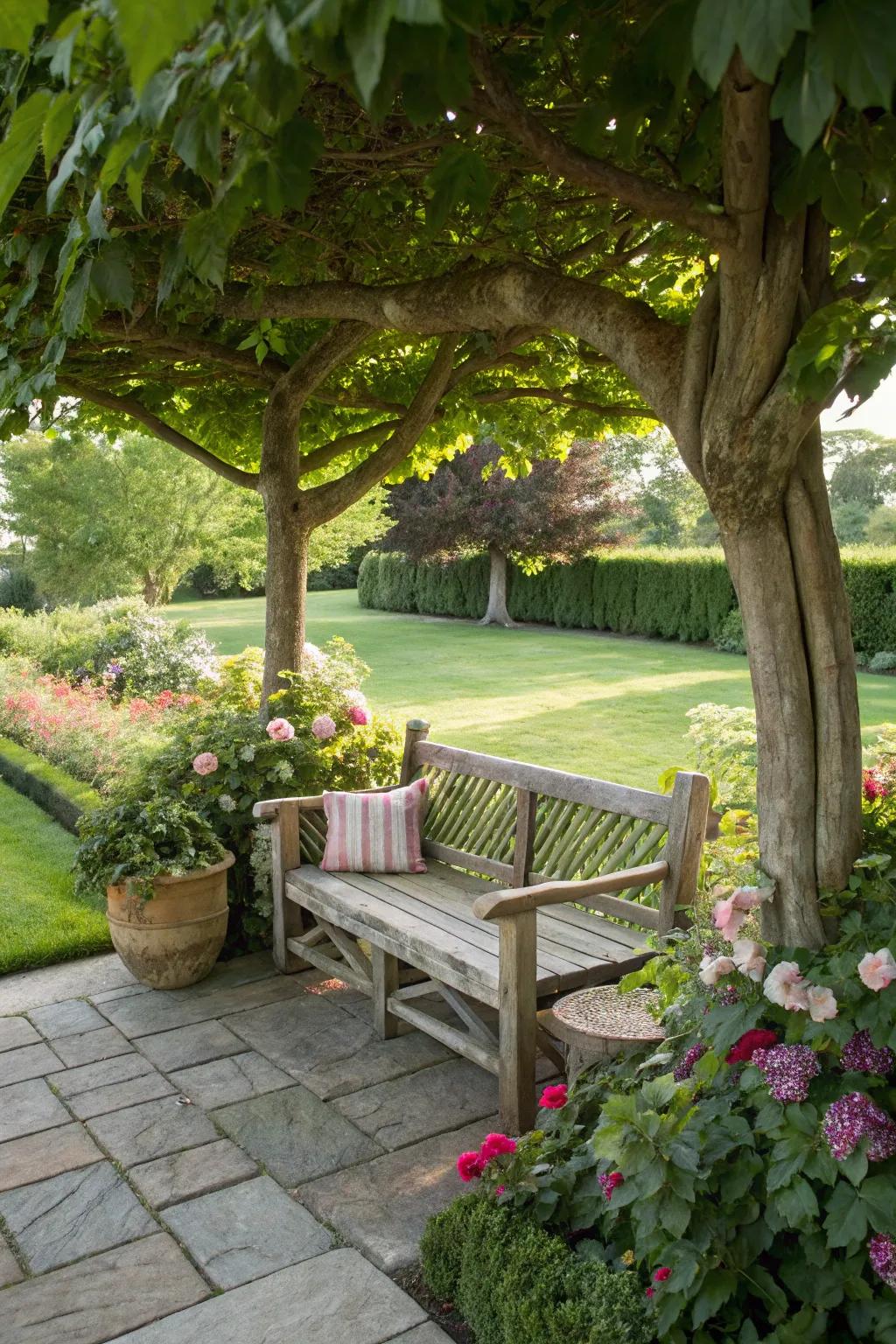 A perfect spot to relax and enjoy the tranquility of nature.
