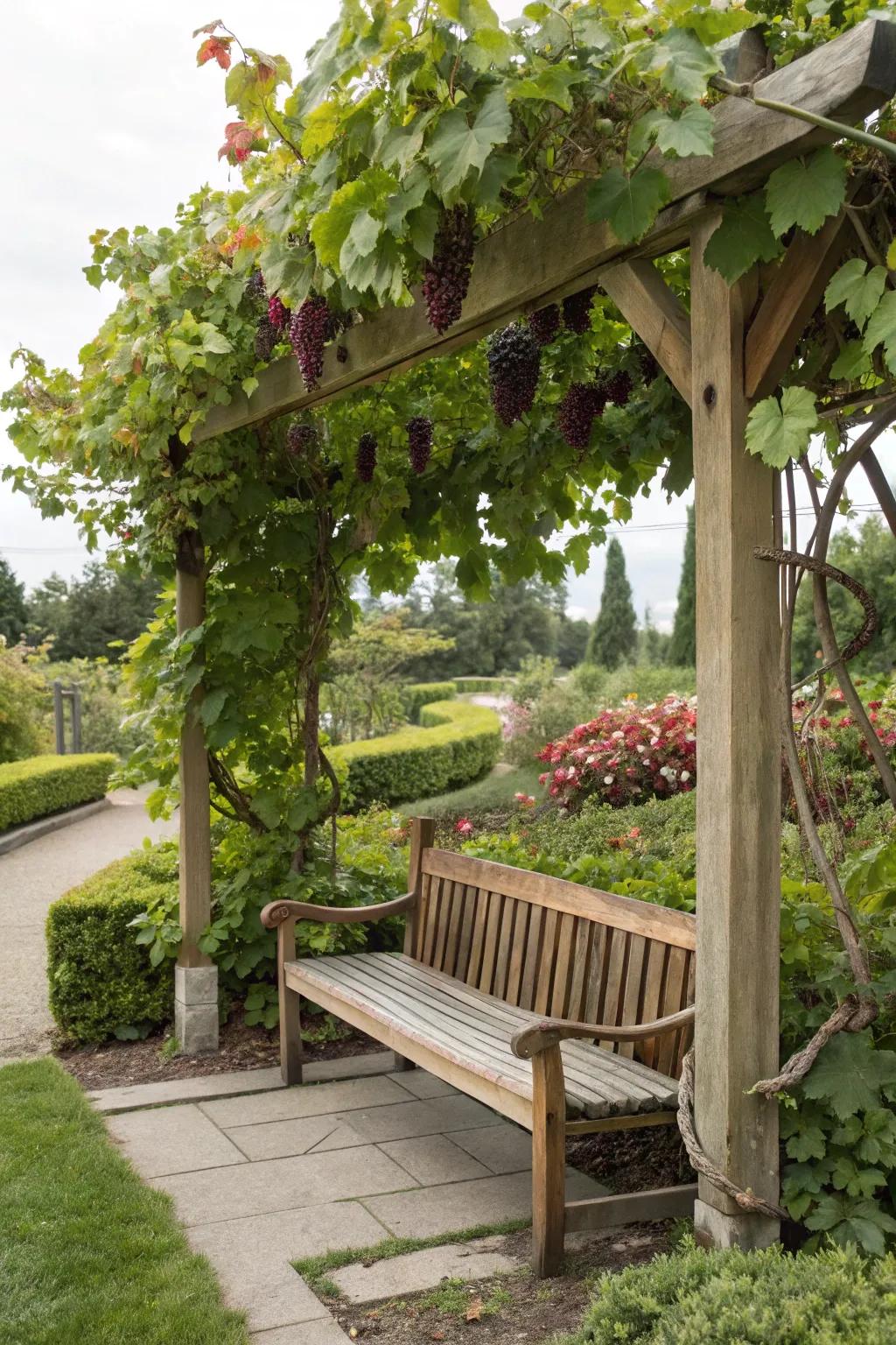 Relax and unwind with built-in seating under a grape-covered pergola.