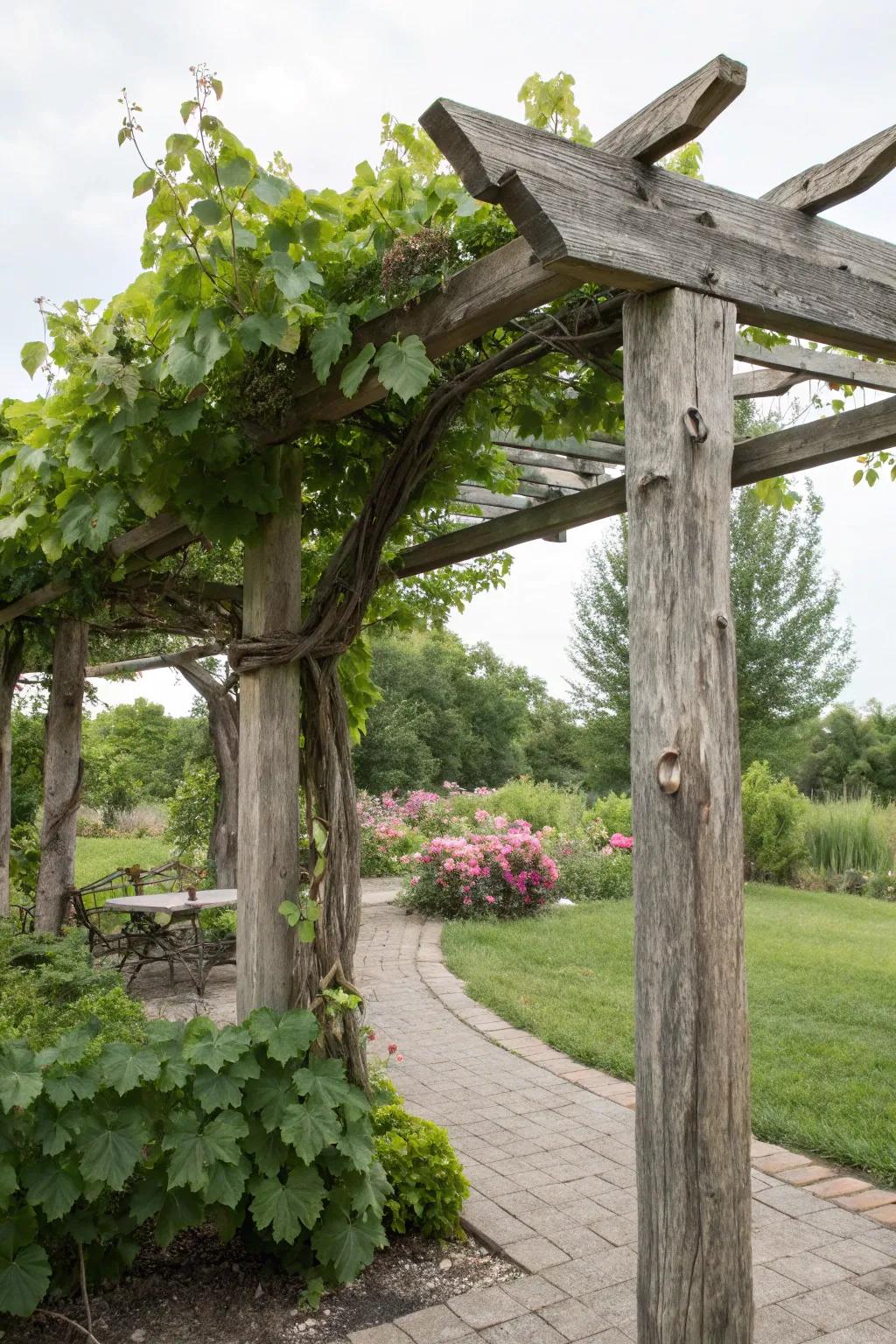 A charming DIY rustic wood arbor brimming with personality.