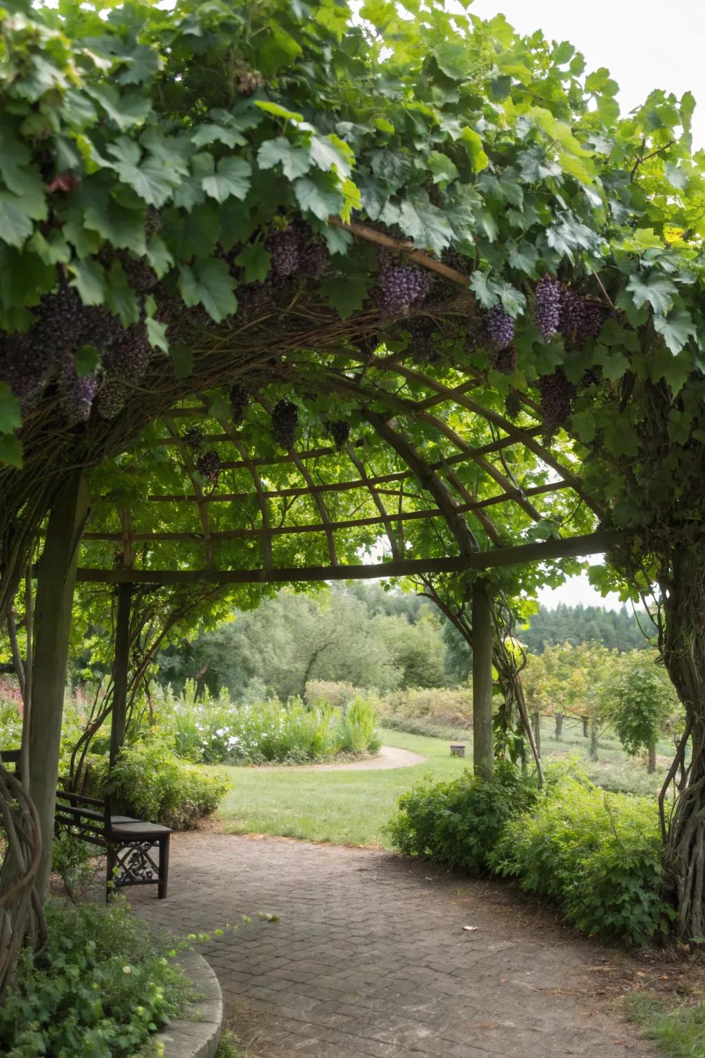 A circular arbor offers a serene, private garden retreat.