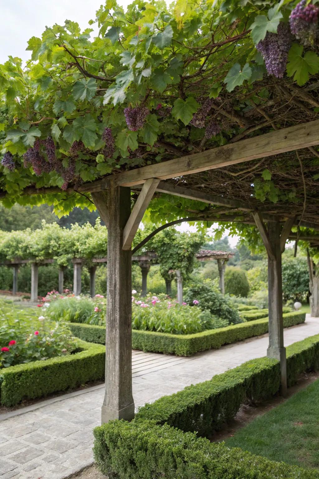 A lush living roof arbor offering natural shade and beauty.