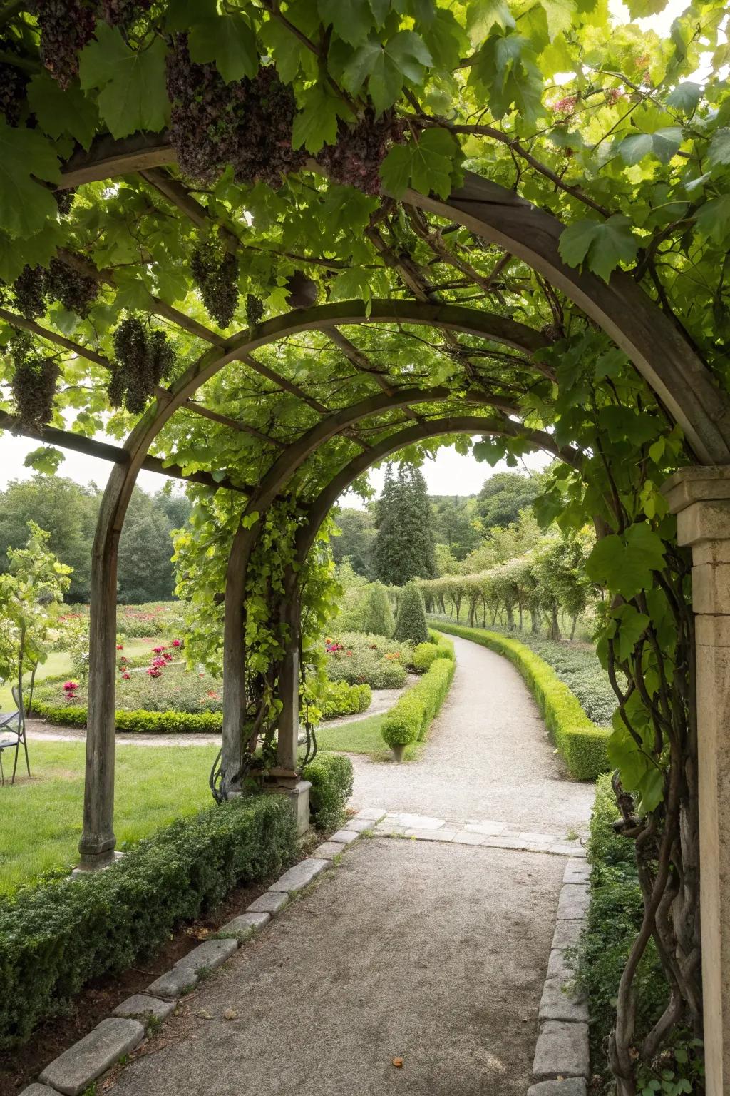 An elegant archway arbor that invites you into a lush garden space.