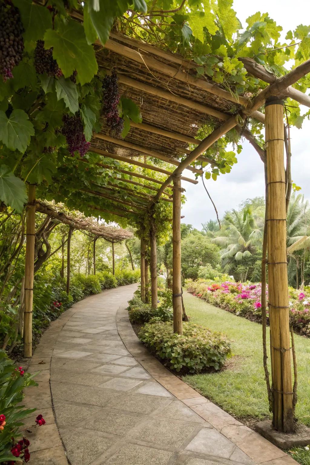 An eco-friendly bamboo arbor offering delicate support for grapevines.