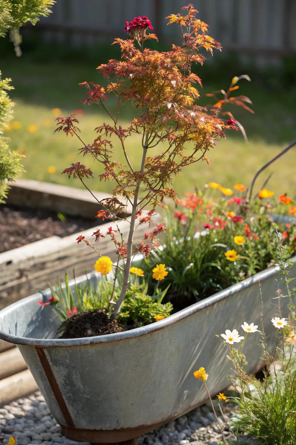 Repurposed metal bathtub reinvented as an imaginative garden planter.