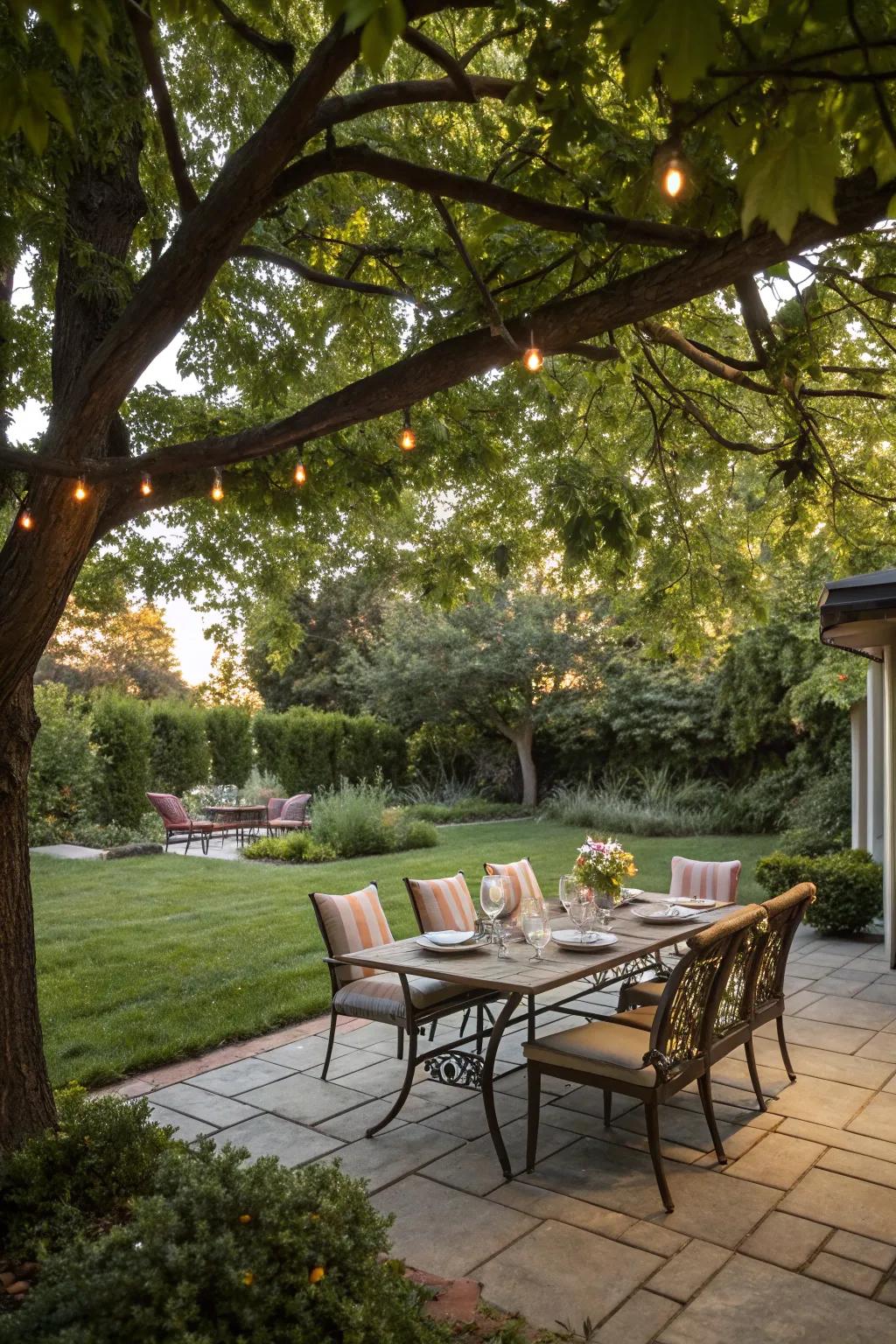 Outdoor dining setup under a canopy of trees.