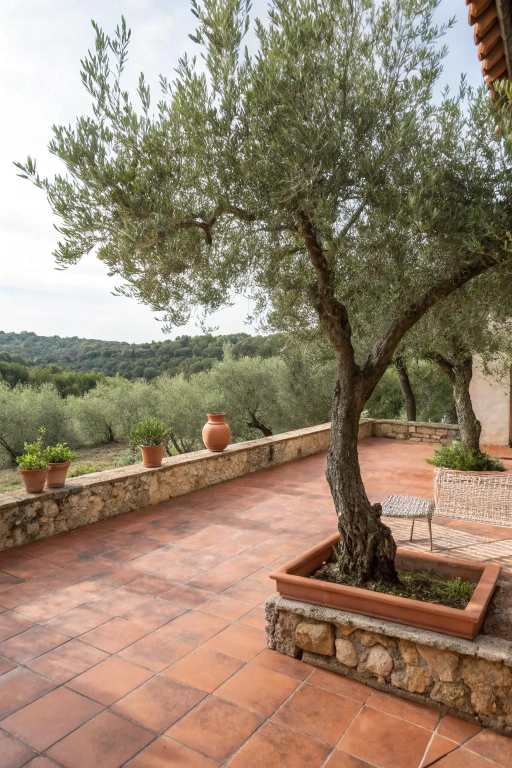 Terracotta tiles providing warm Mediterranean ambiance.