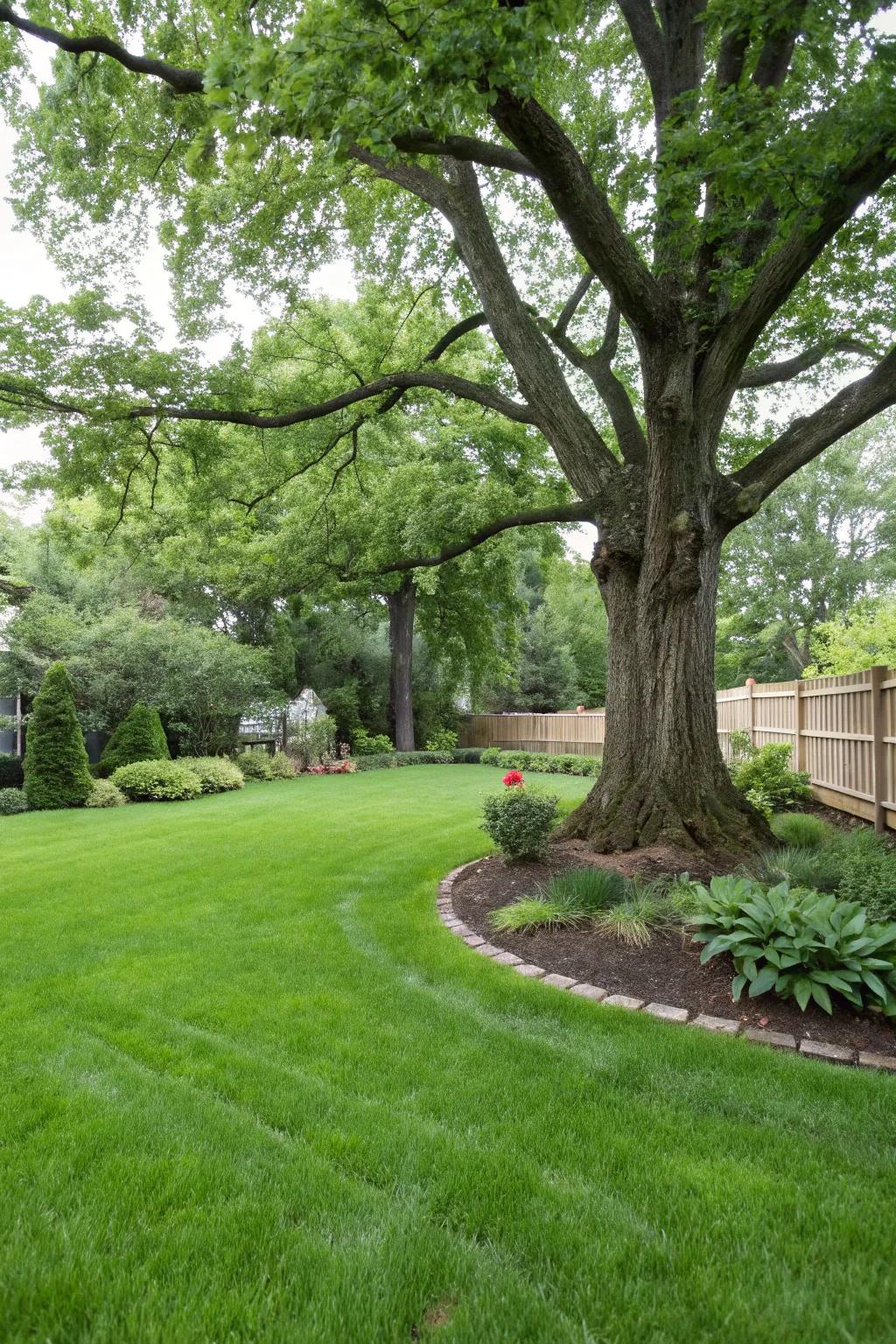 Replant grass to create a seamless lawn after tree removal.