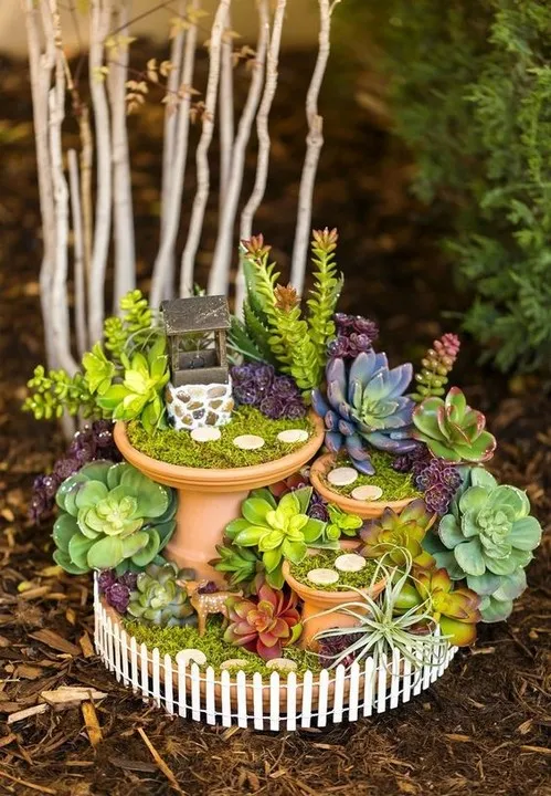 Magical DIY Succulent Fairy Garden Ideas to Transform Your Space